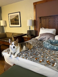 Dog friendly