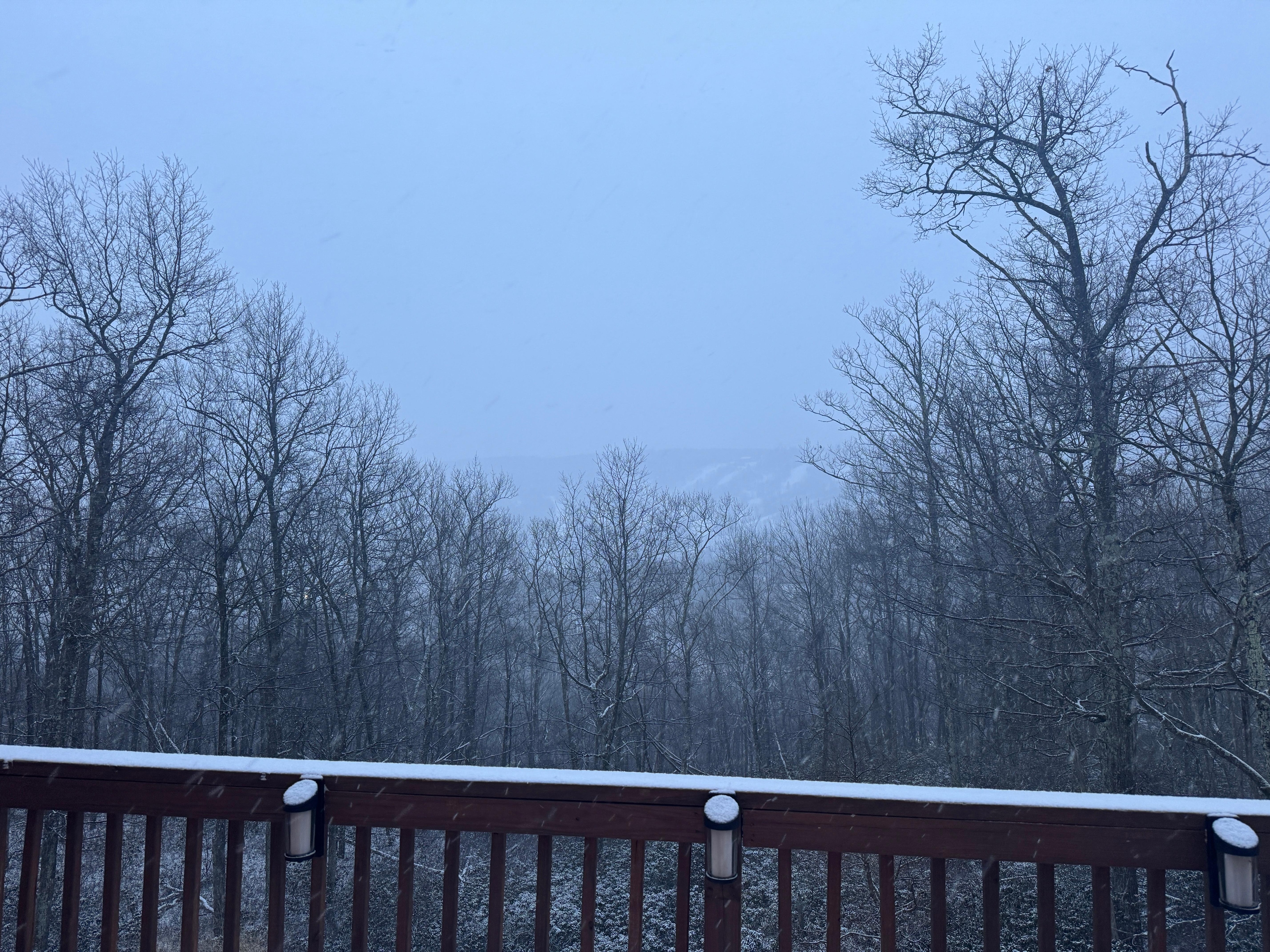 Morning snowfall view 