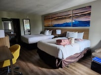 Comfy beds