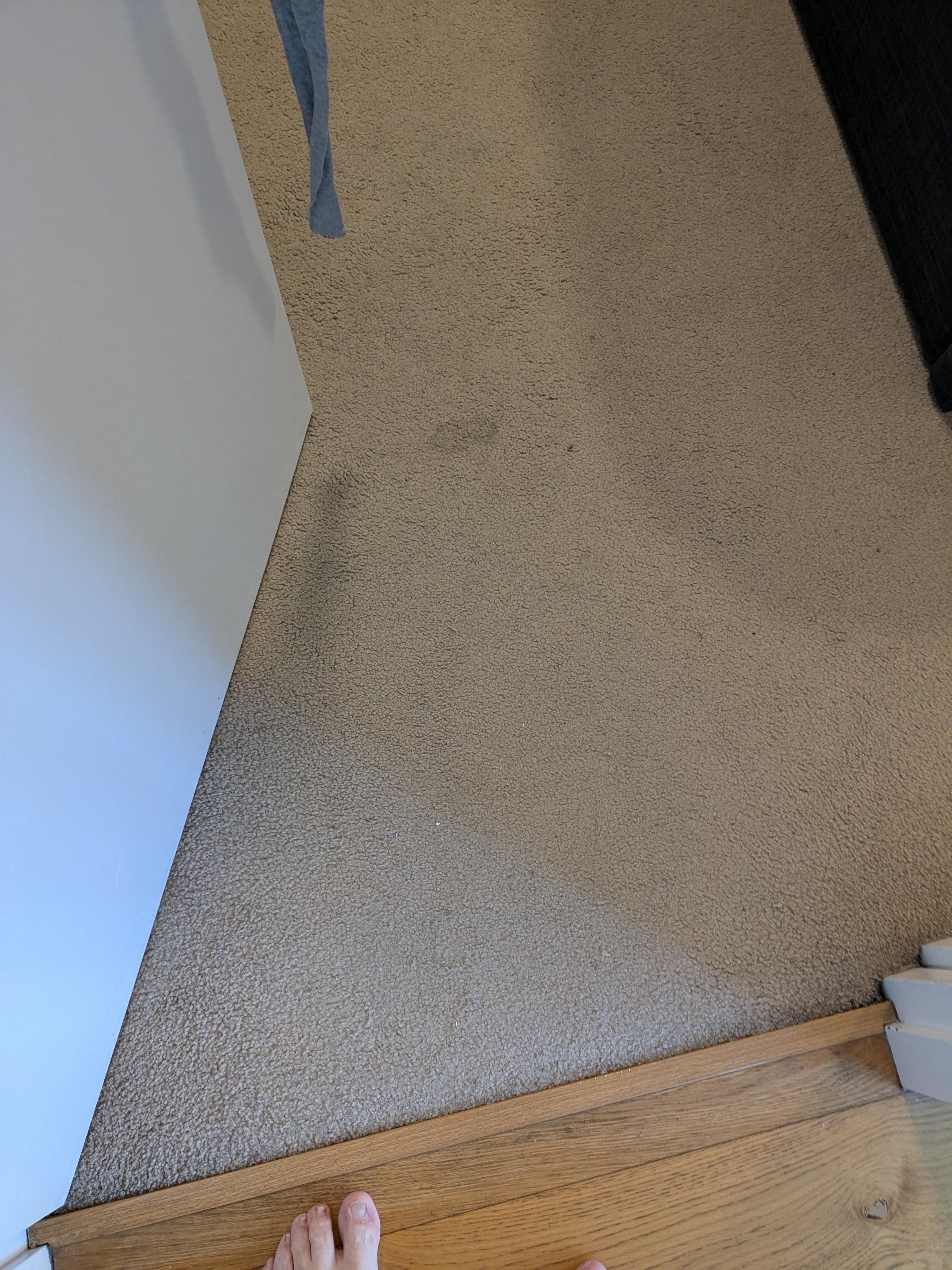 Stain on carpet 