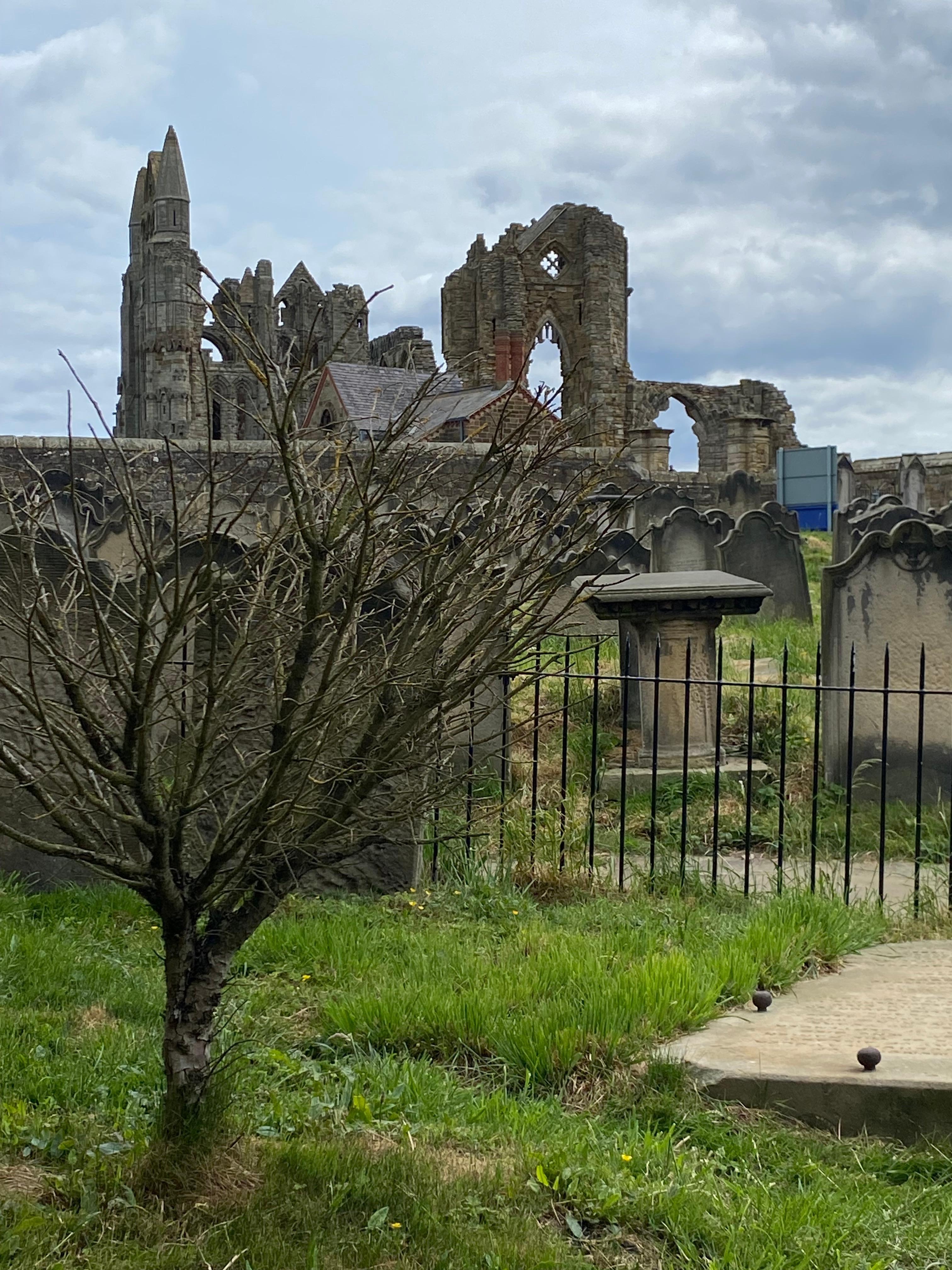 A view of the Abby from the church at the top of the 199 steps 
