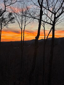 View from the back balcony