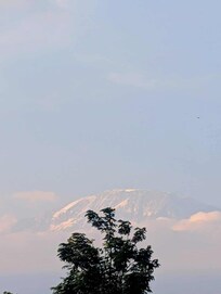 Kili from the Maisha Khalisi just a few hundred meters