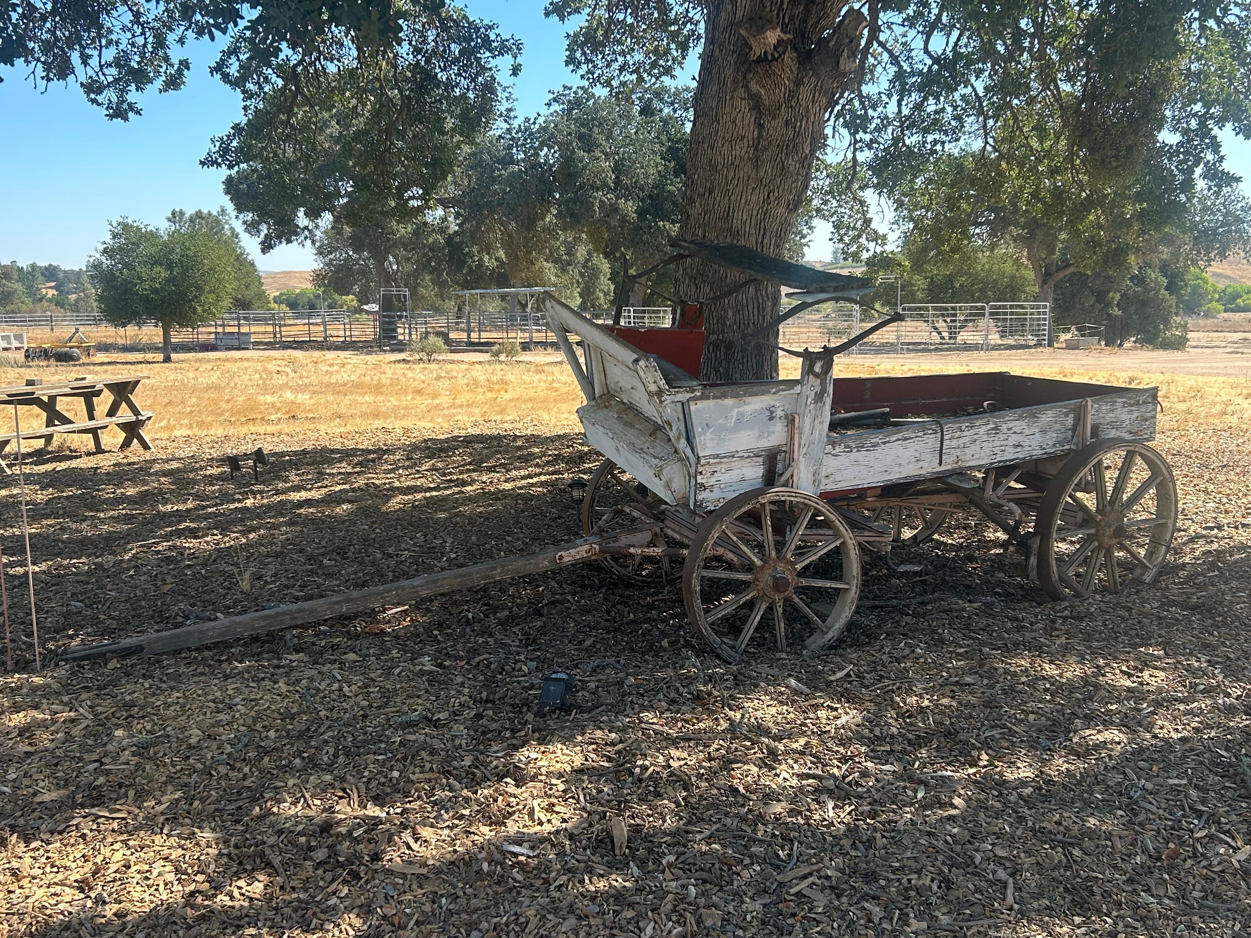 Just a bit of the rustic beauty. 
