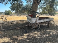 Just a bit of the rustic beauty.