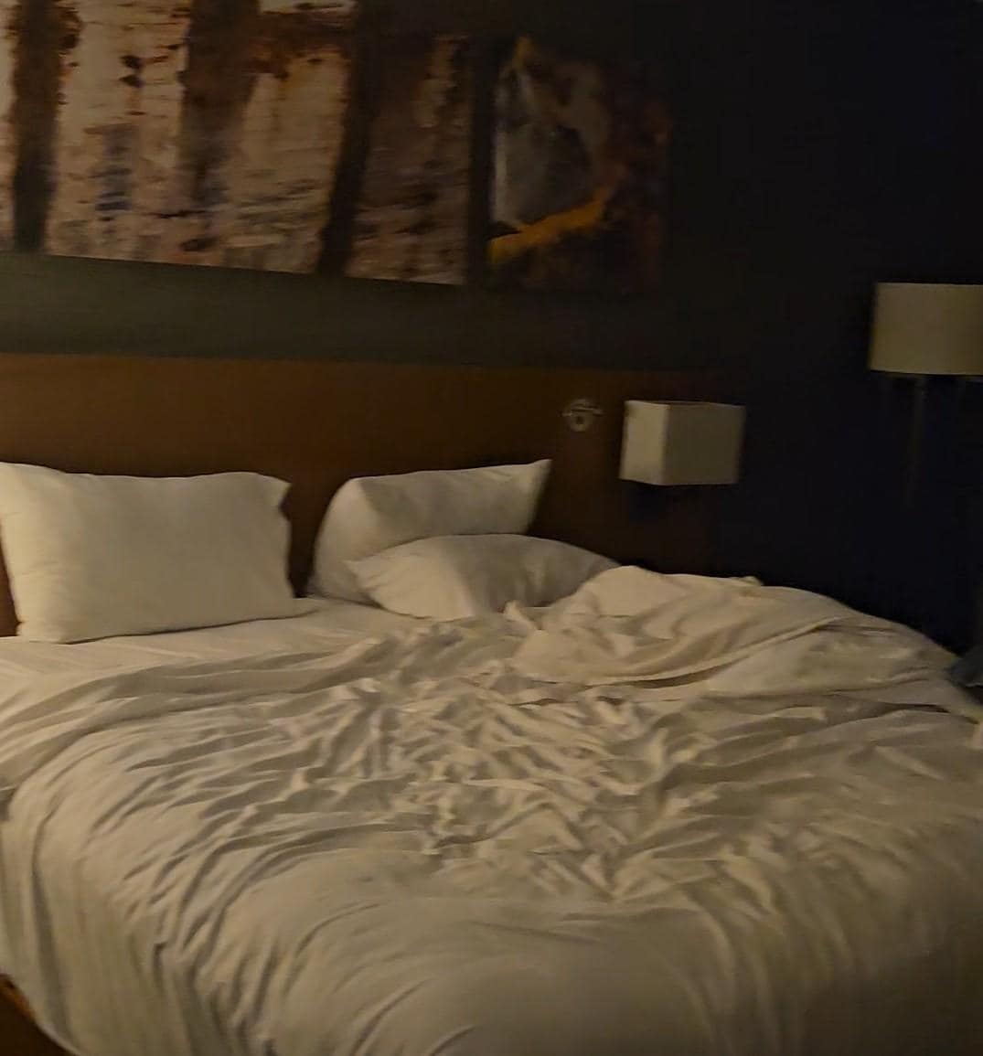 Bed was comfortable. Worked fine.