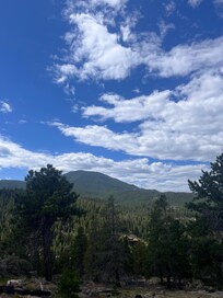 View from the property