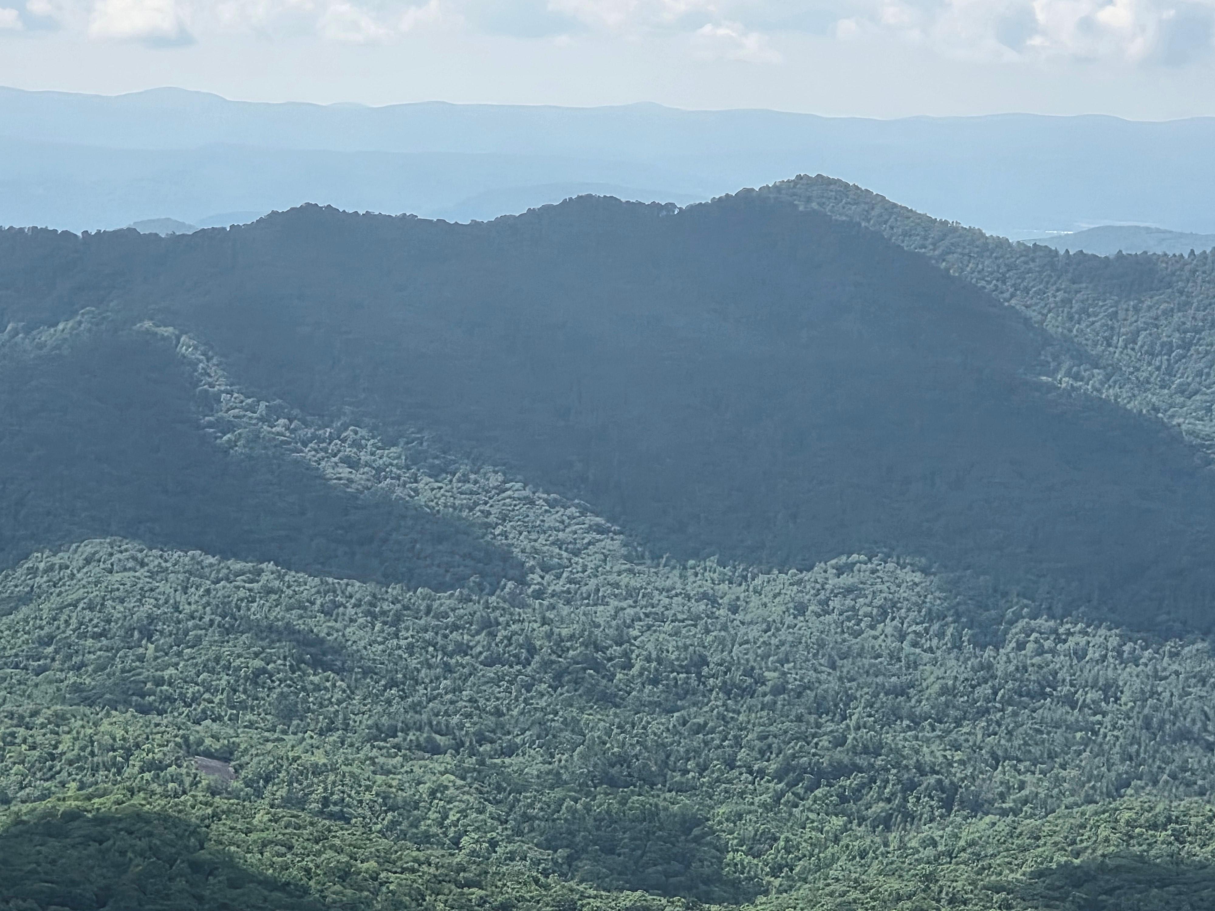Blue Ridge Parkway view.