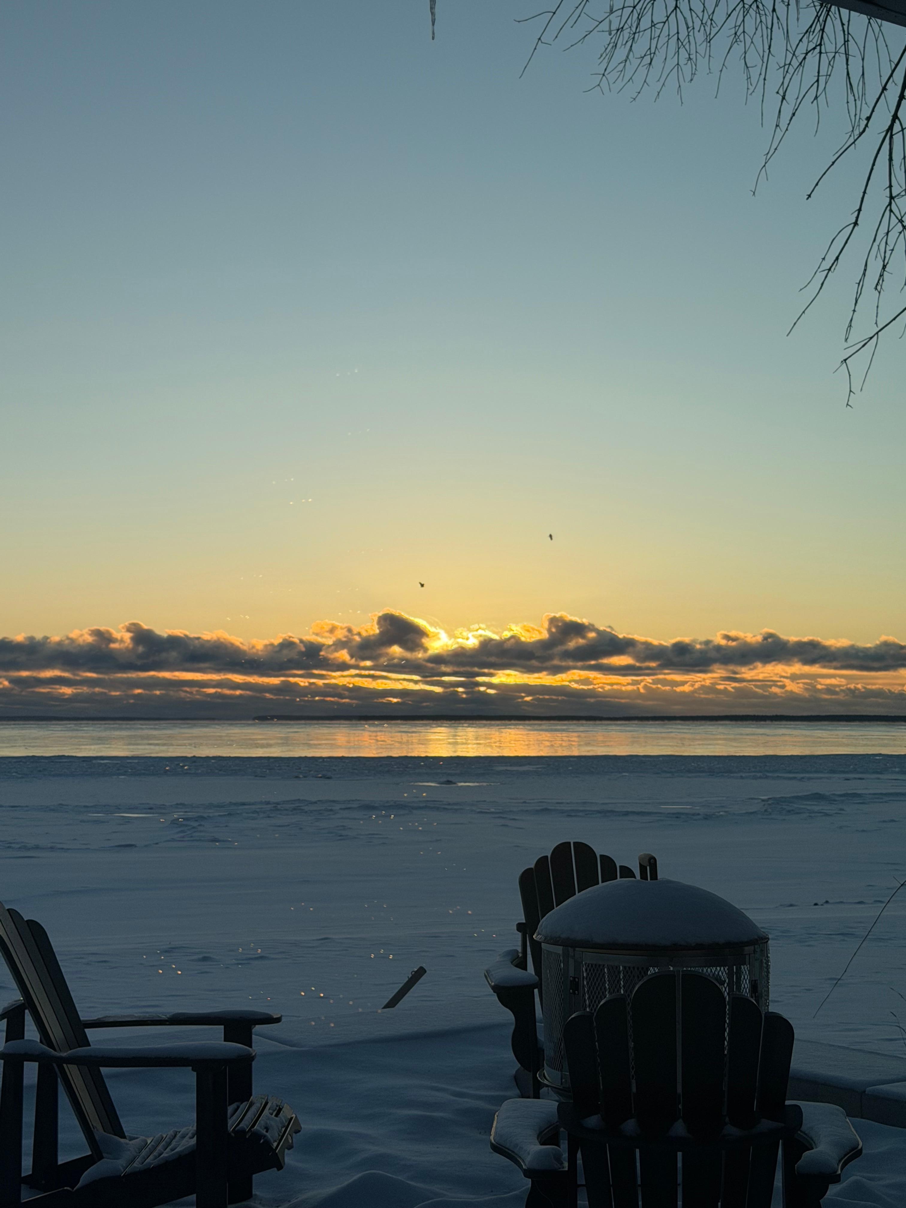 The sunrise from the living room window and caught a couple birds flying by❤️