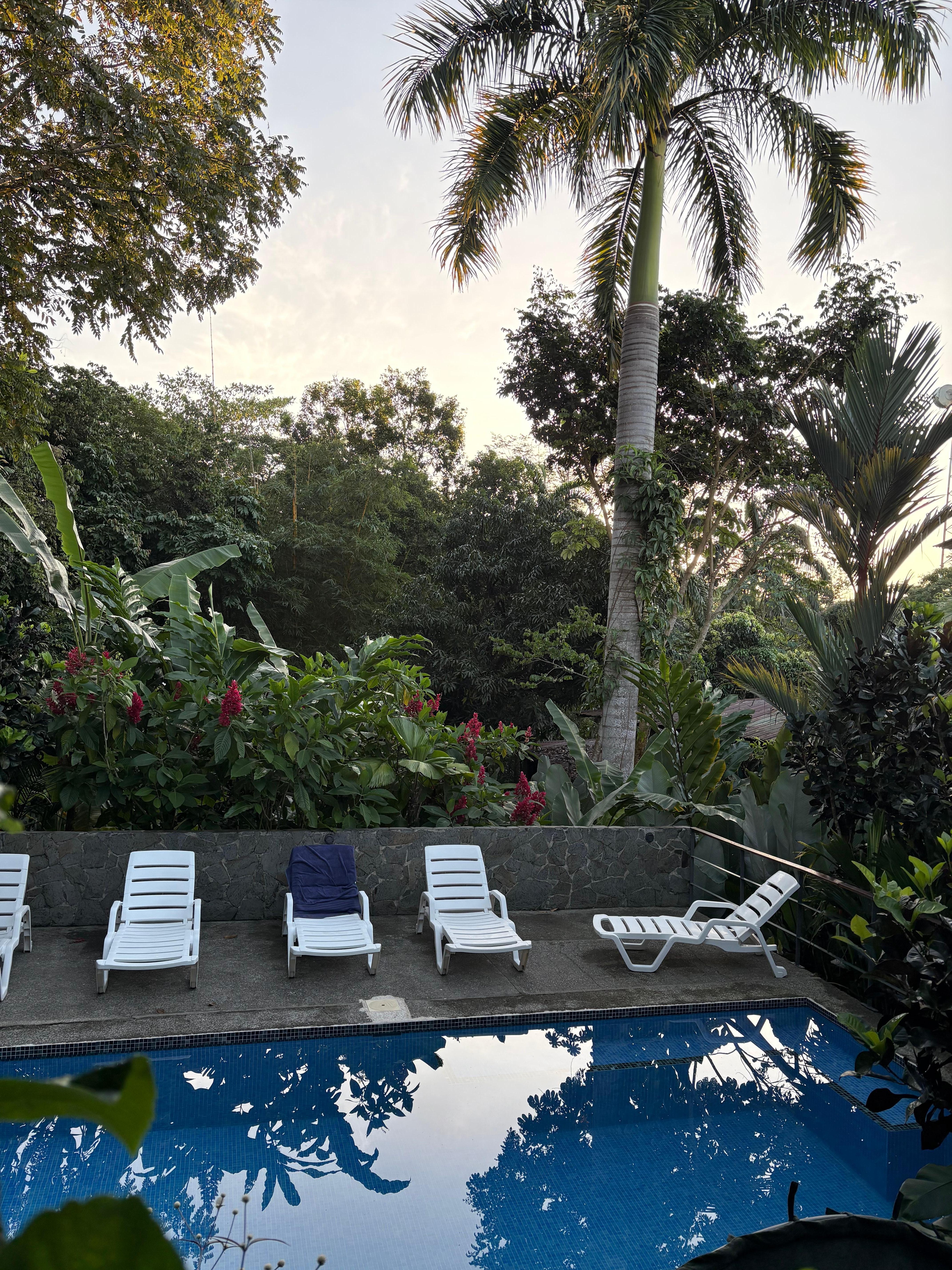 Pool in the morning.