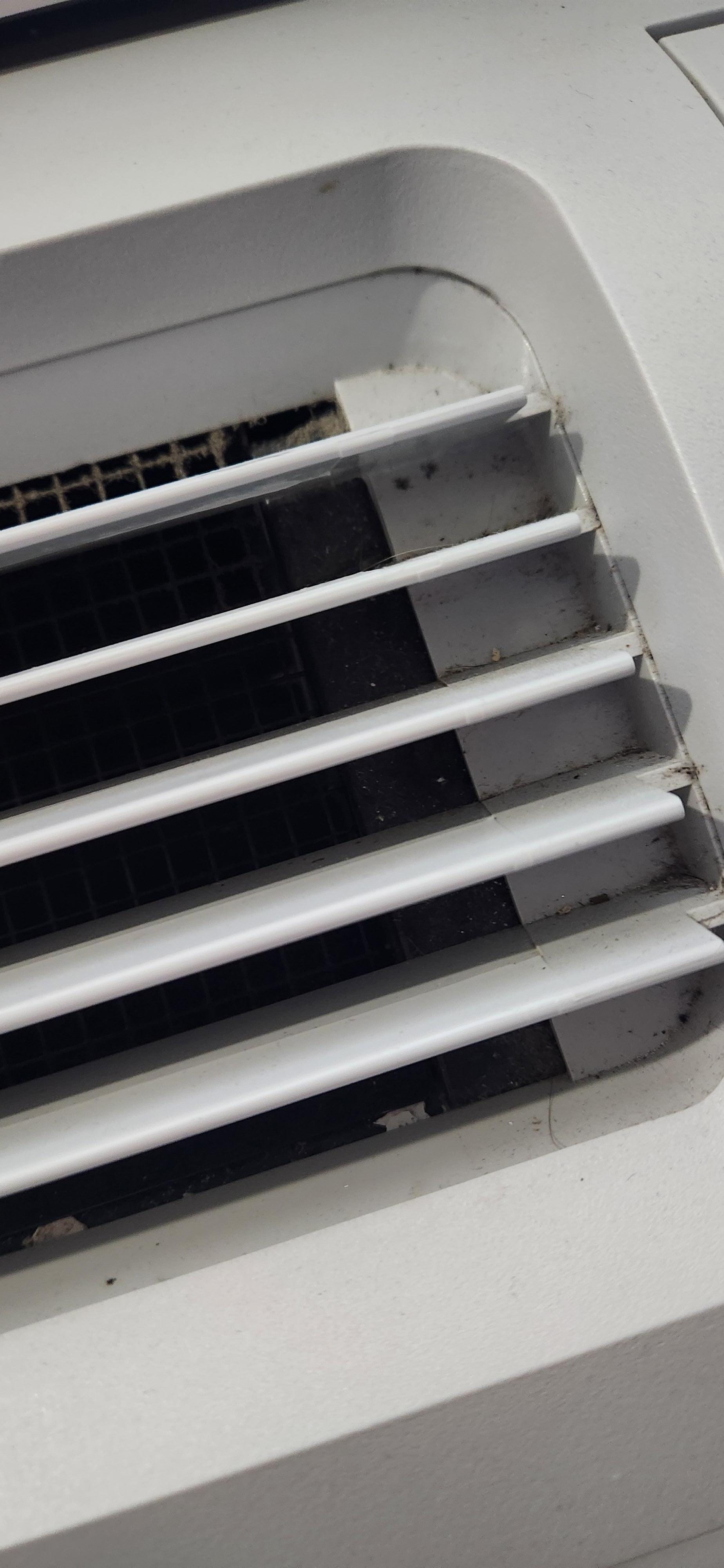 Dust and mold in ac vent