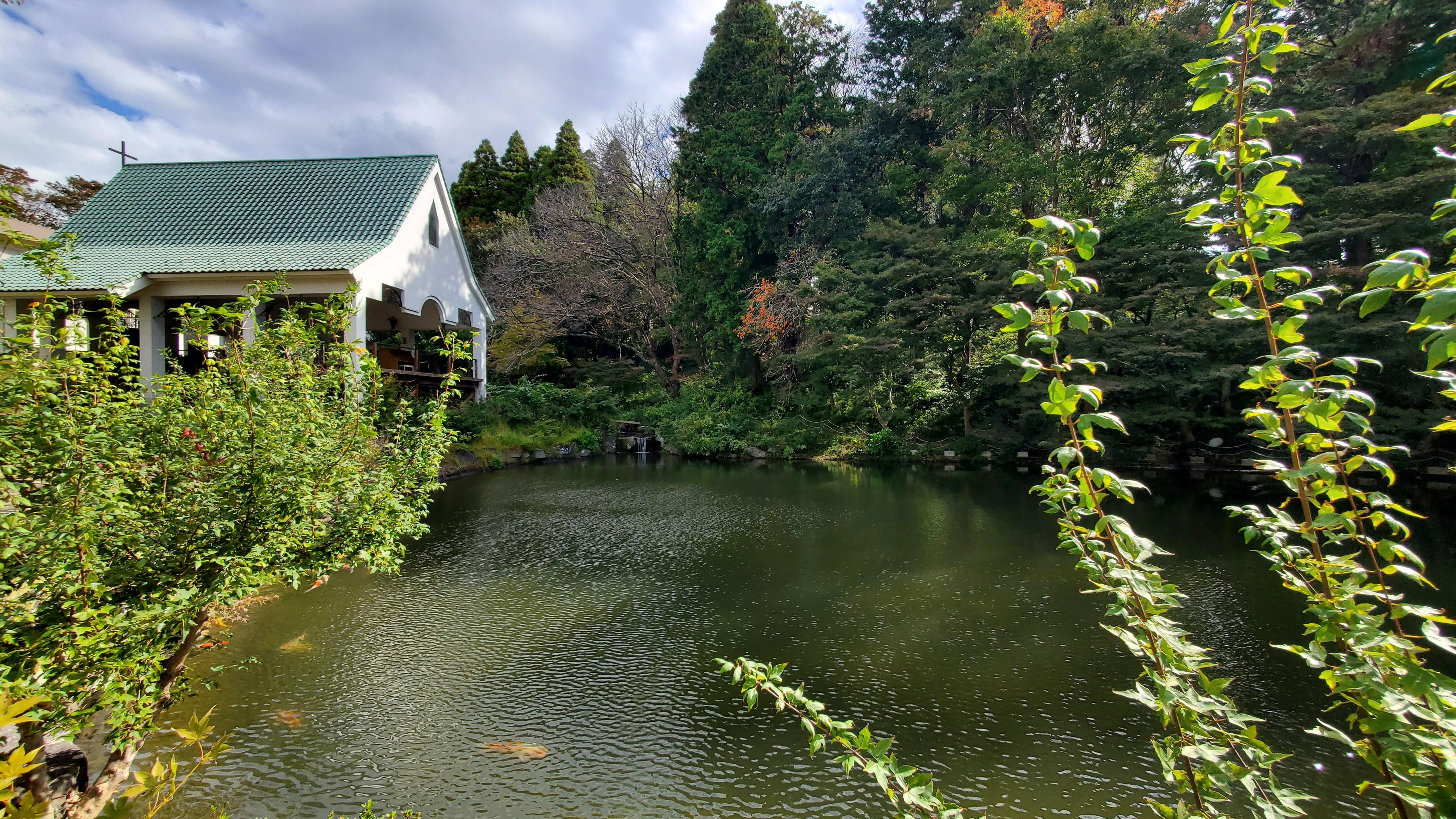 池には、鯉が沢山。地形を利用し、紅葉も楽しめそう。