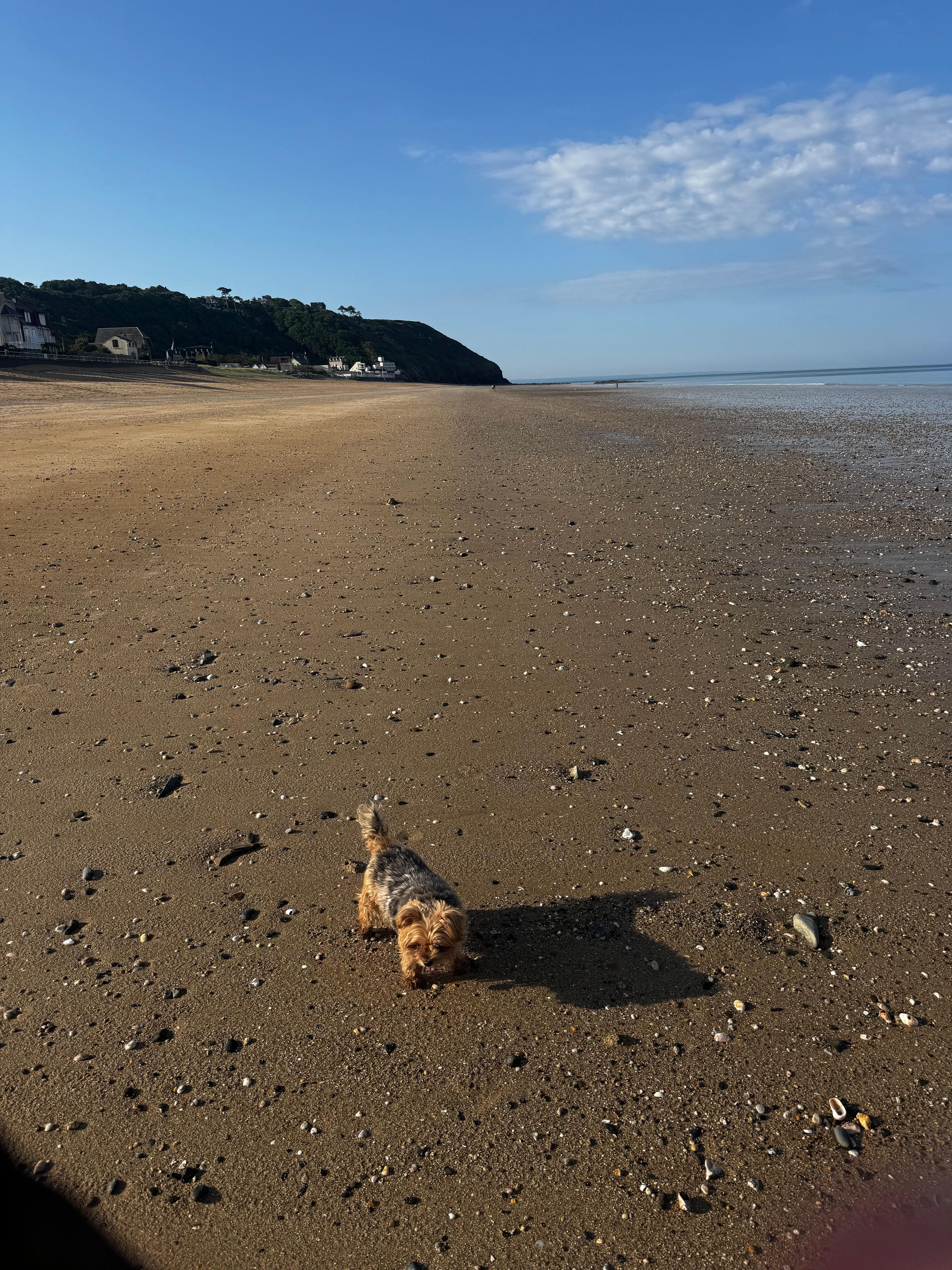 Huge beach went on for mikes