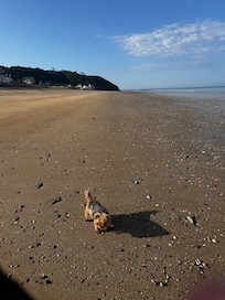 Huge beach went on for mikes