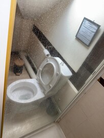Toilet pan dirty although have spared you that! Shower screen not wiped for a long time!