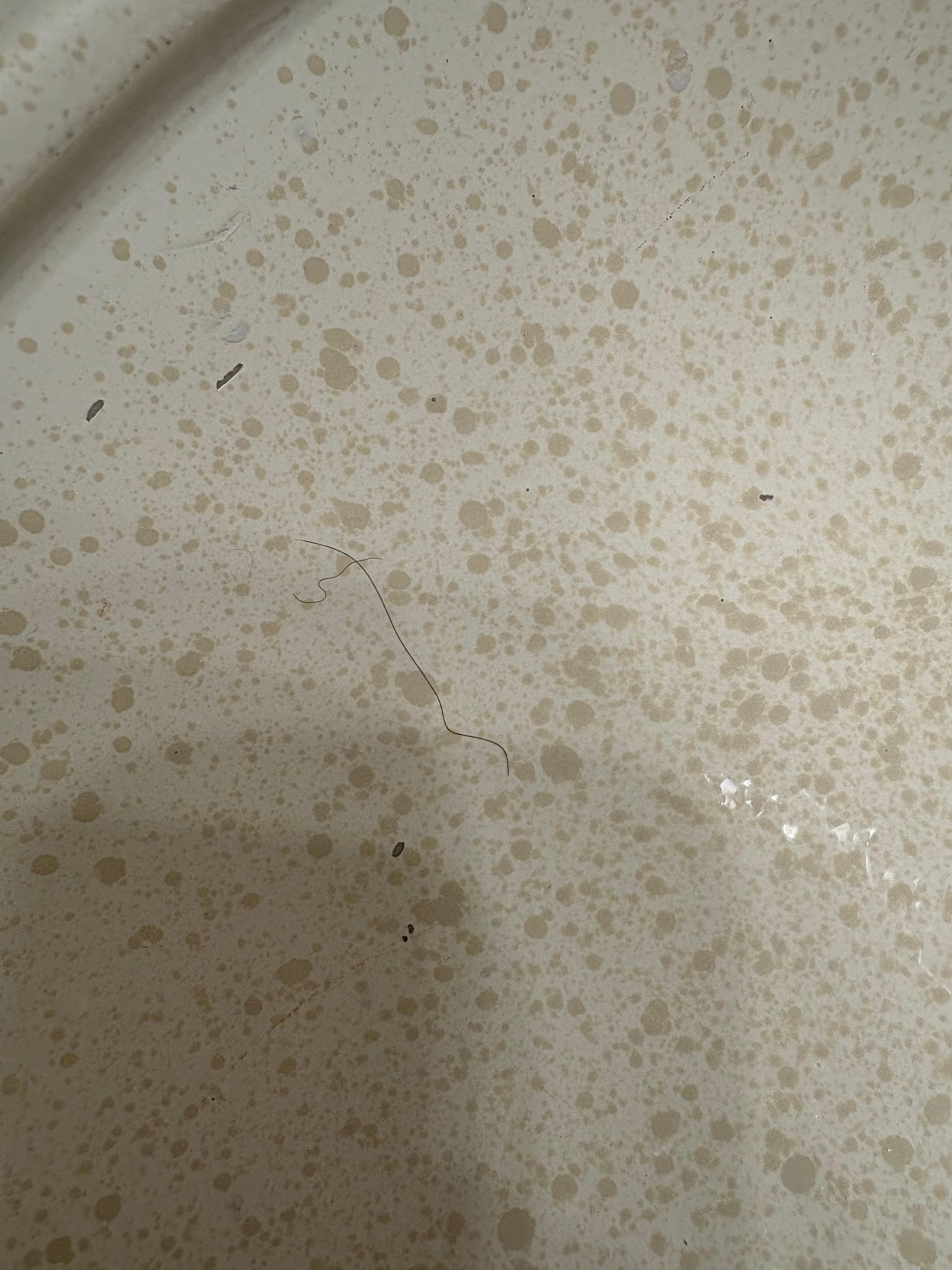 Hair in the sink before I use it