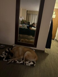 Inside room comfortable and clean