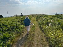 Walking on nearby Cap Rouge