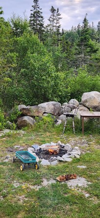 Firepit, grill, seating in the back.