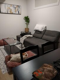 The living room with our dogs relaxing on their beds.
