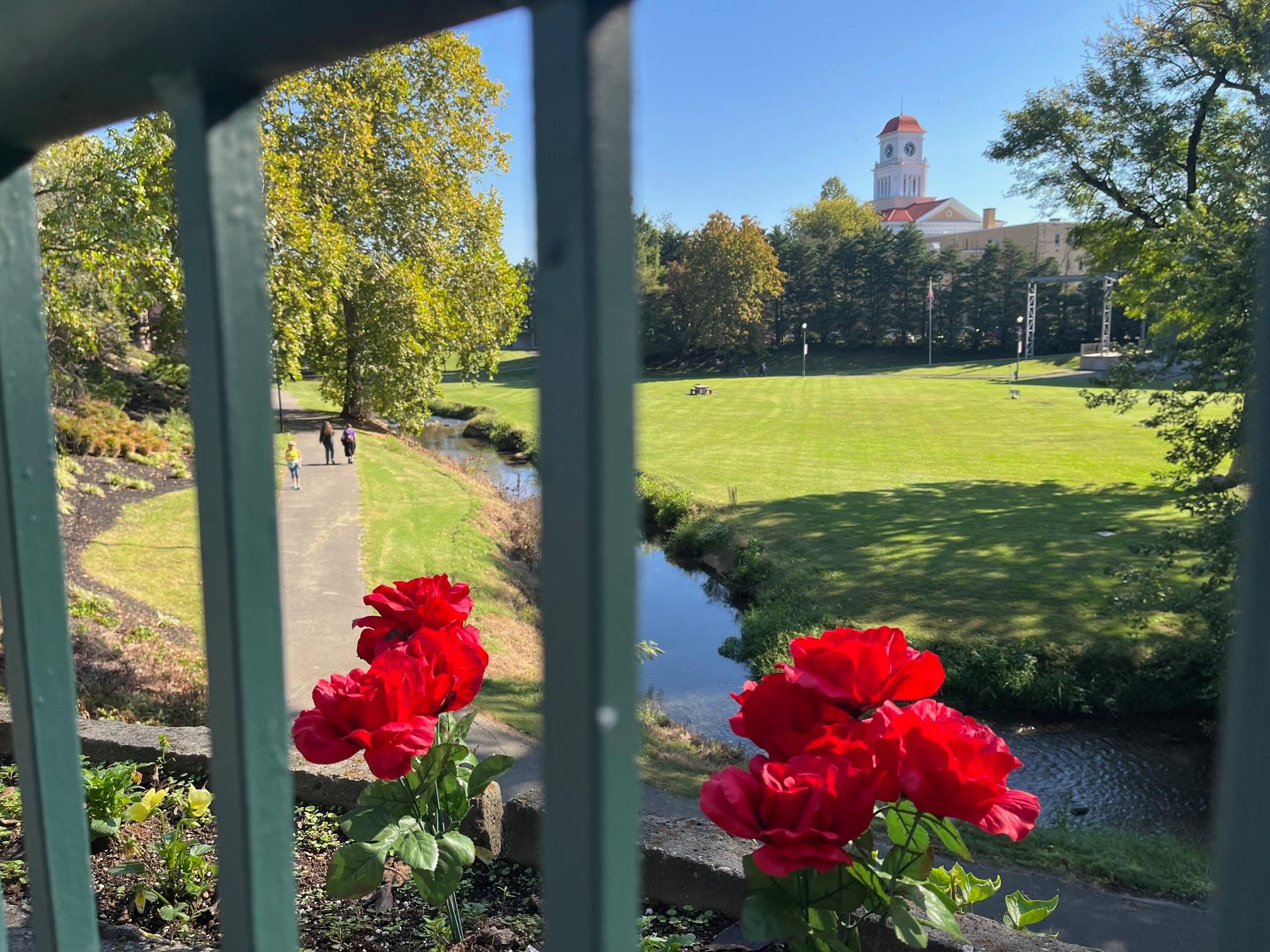 From the greenway in Maryville