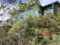 The front of the house