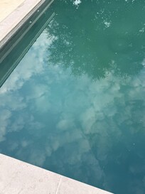 Had no desire to use the pool, but was cloudy and had algae buildup on the side