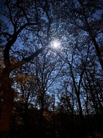 Full moon from the porch.