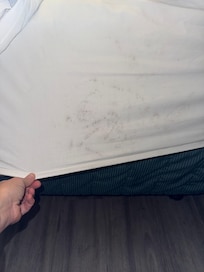 Mold on the DIRTY bedsheets