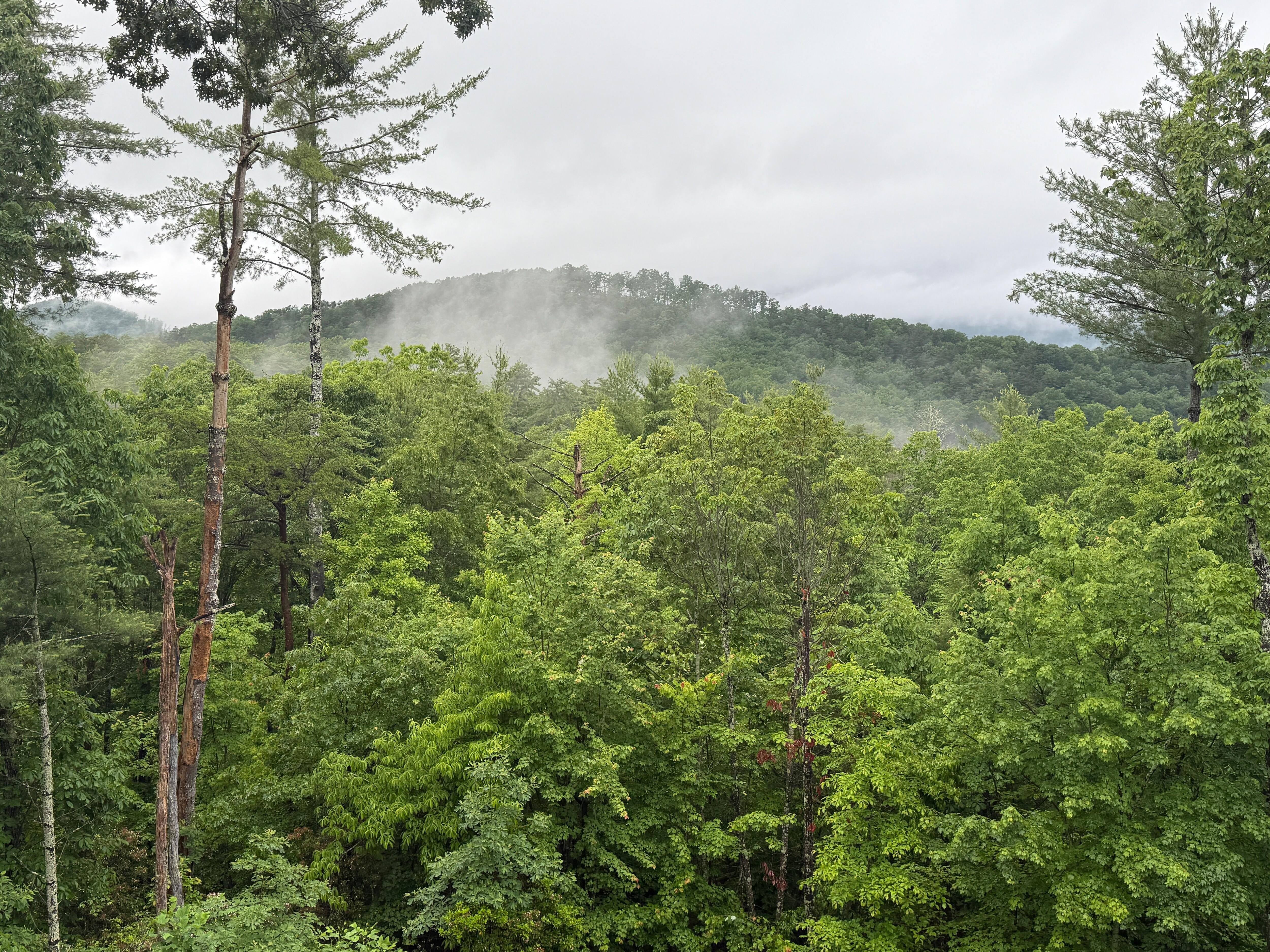Incredible views from the cabin