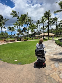 ADA Accessible