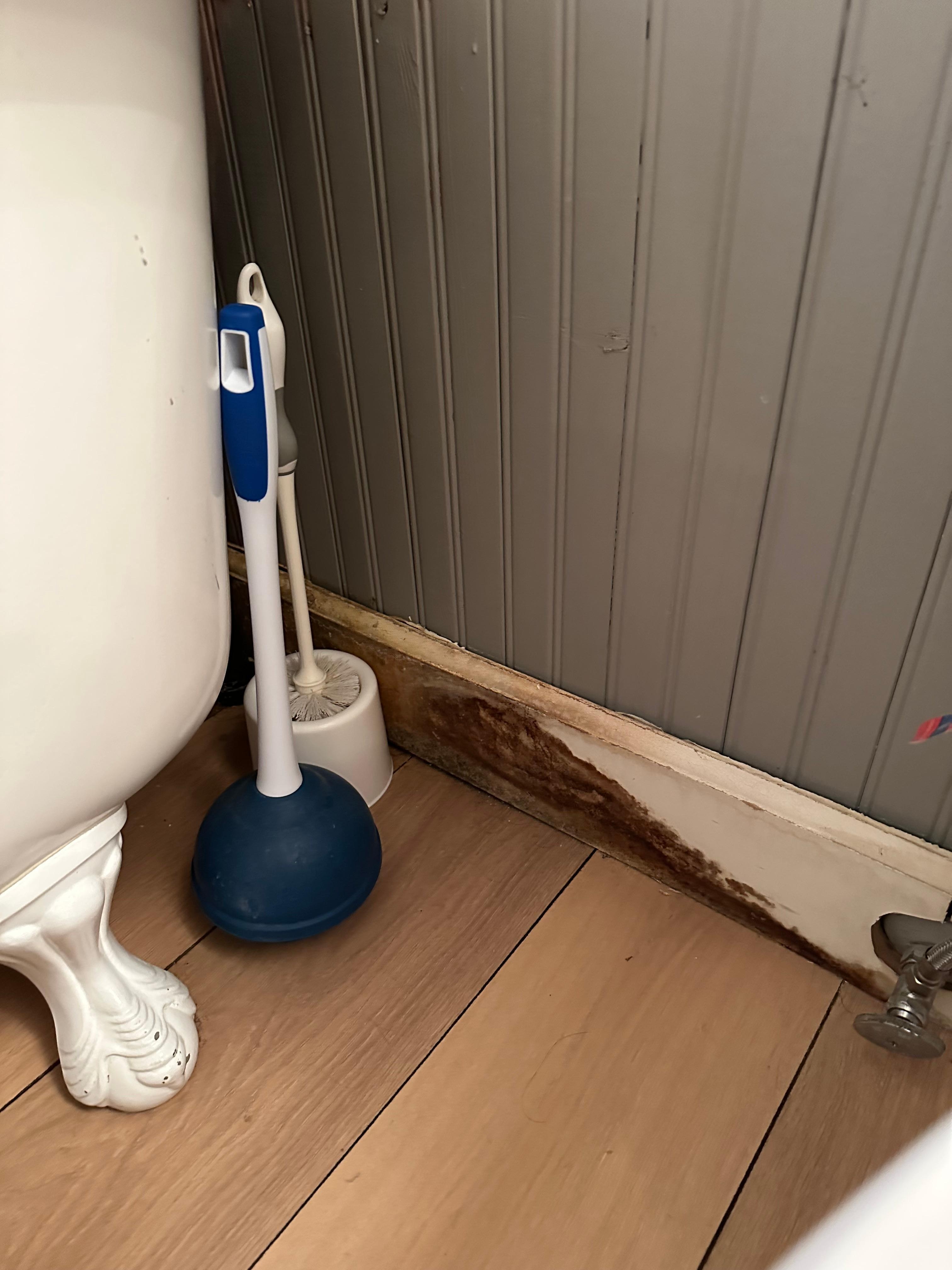 The black yuck behinnd the tub and toilet.