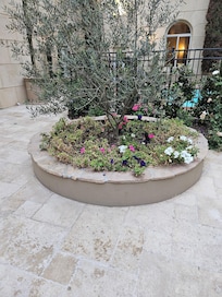 Flower bed needs tending to