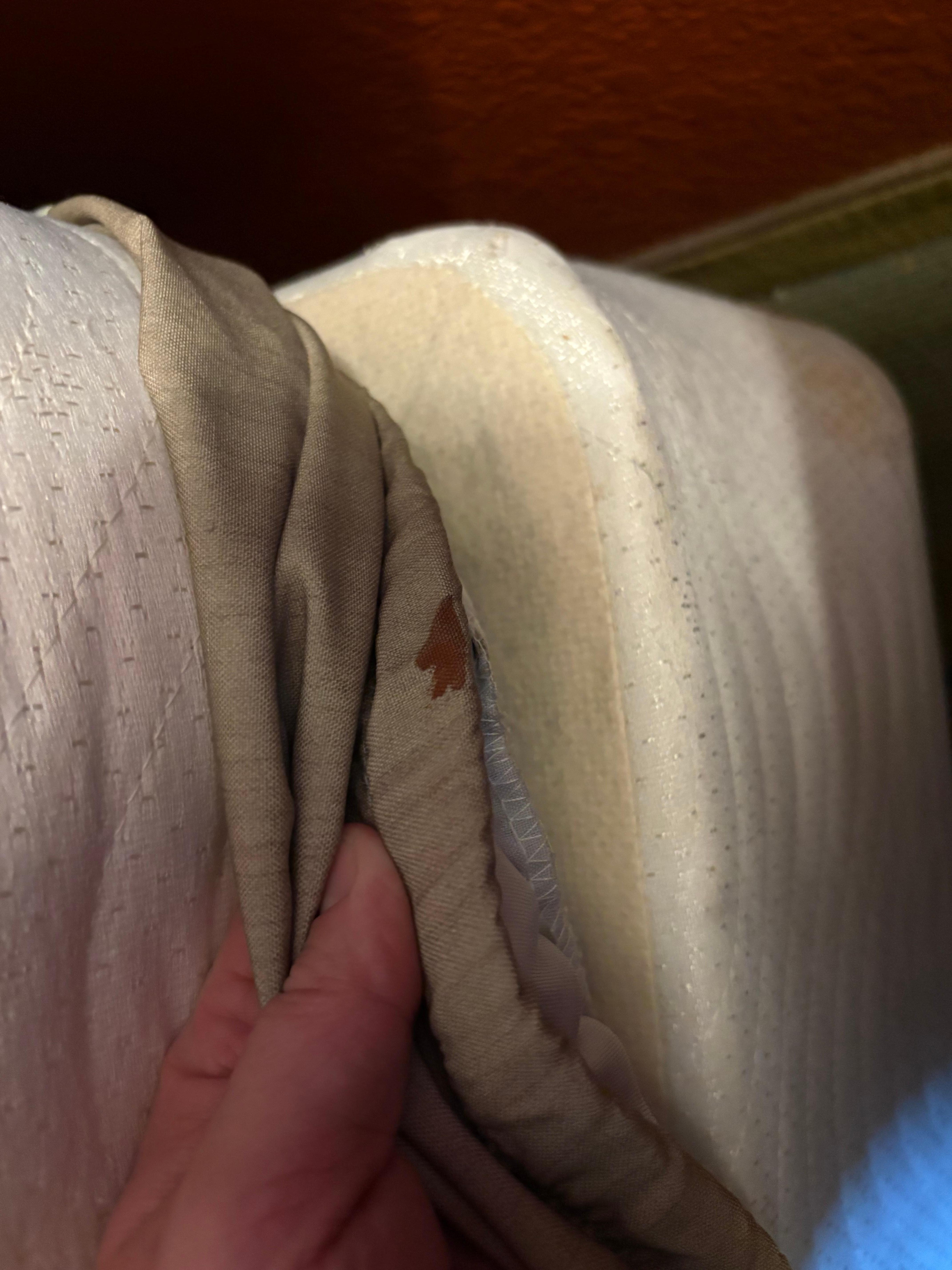 Blood on cover of box spring, found when checking for bed bugs