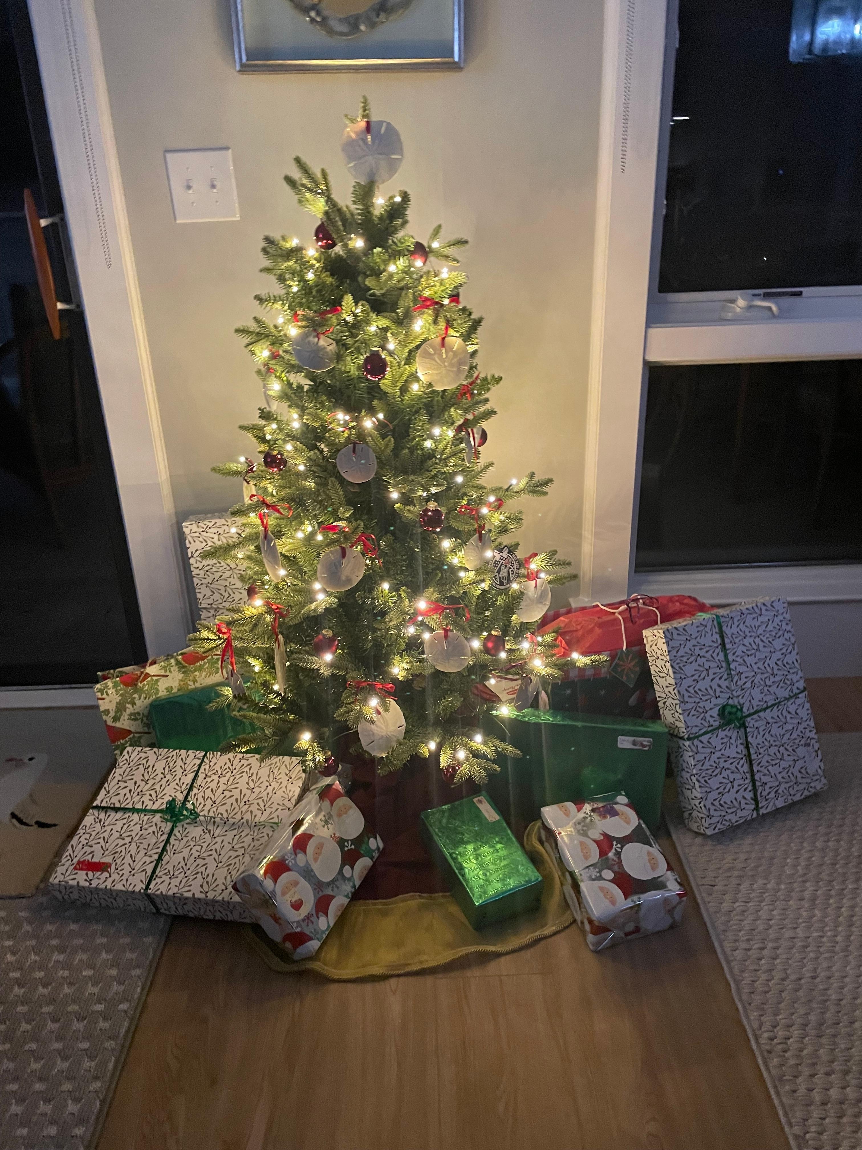 We had kept our sand dollars from previous years when we had our own villa here 