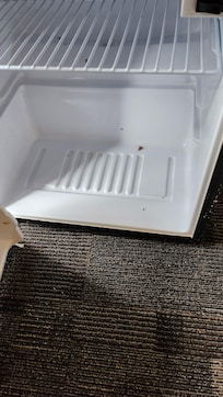 Dead and live bugs in refrigerator