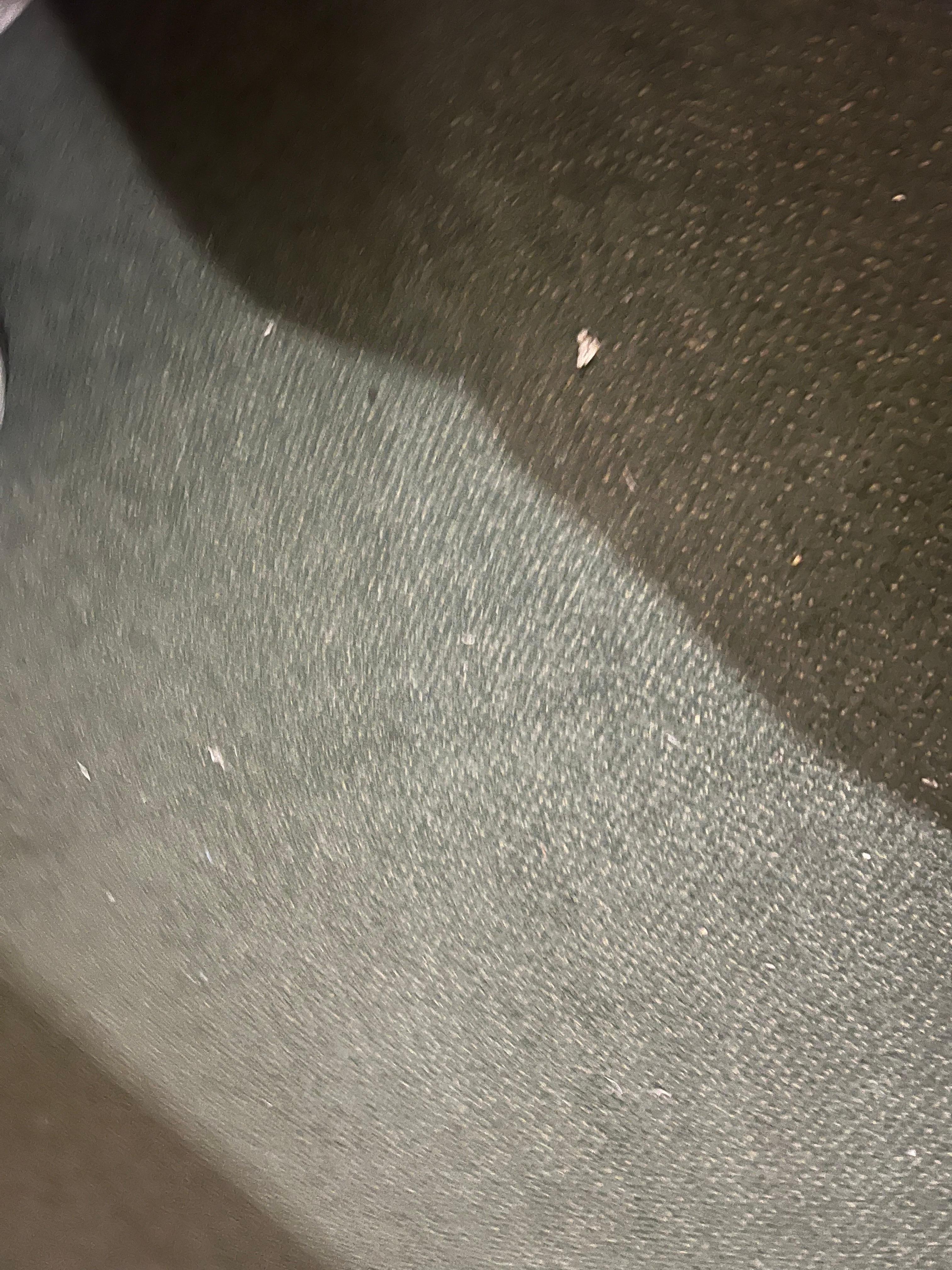 Carpet needed hoovering 