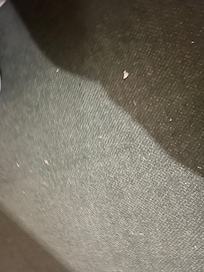 Carpet needed hoovering