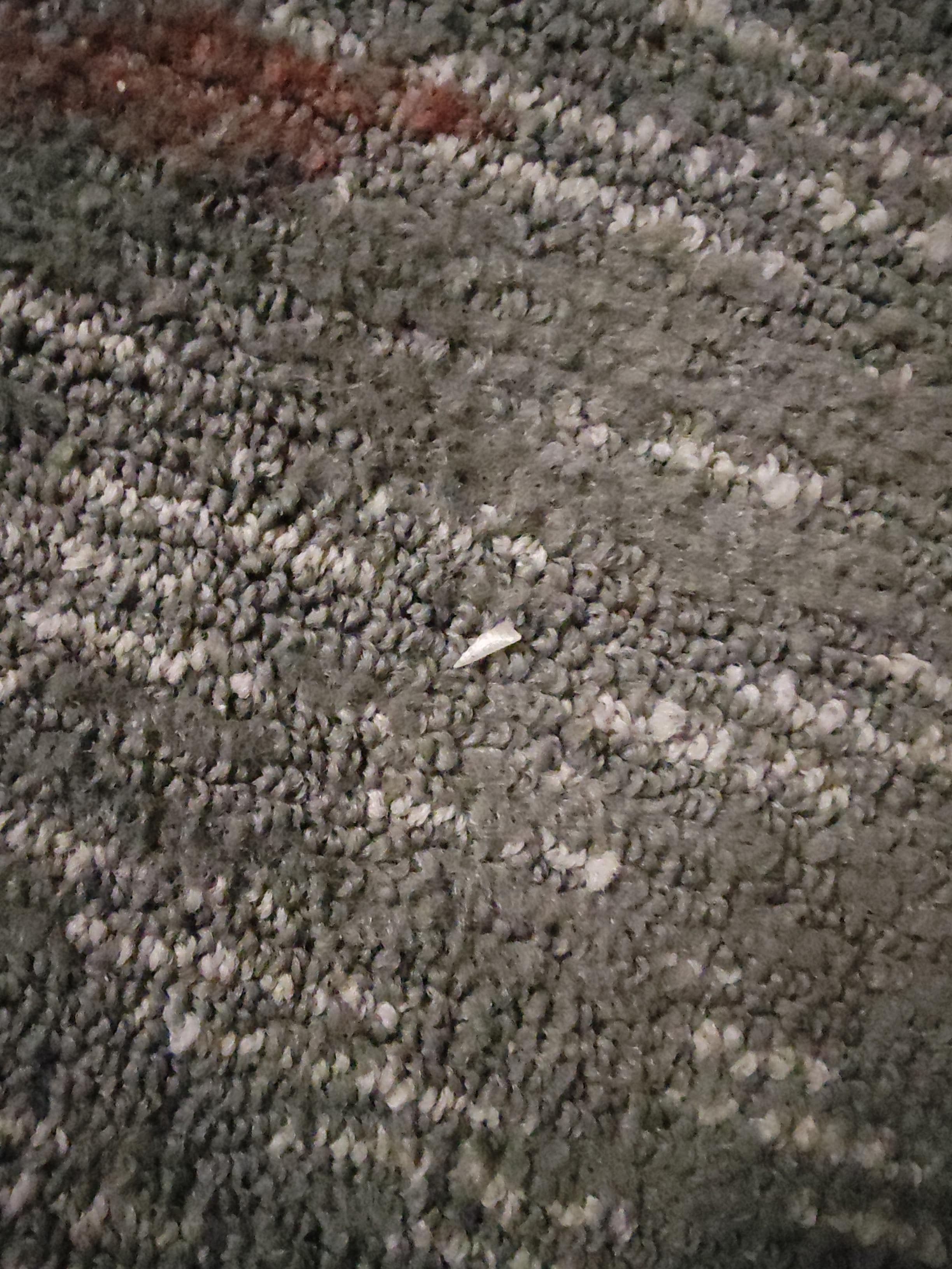 Toe nails. My wife had picked up several more.