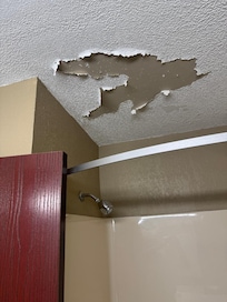 Bathroom Ceiling