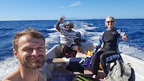 Bill took us to snorkel with the sharks!