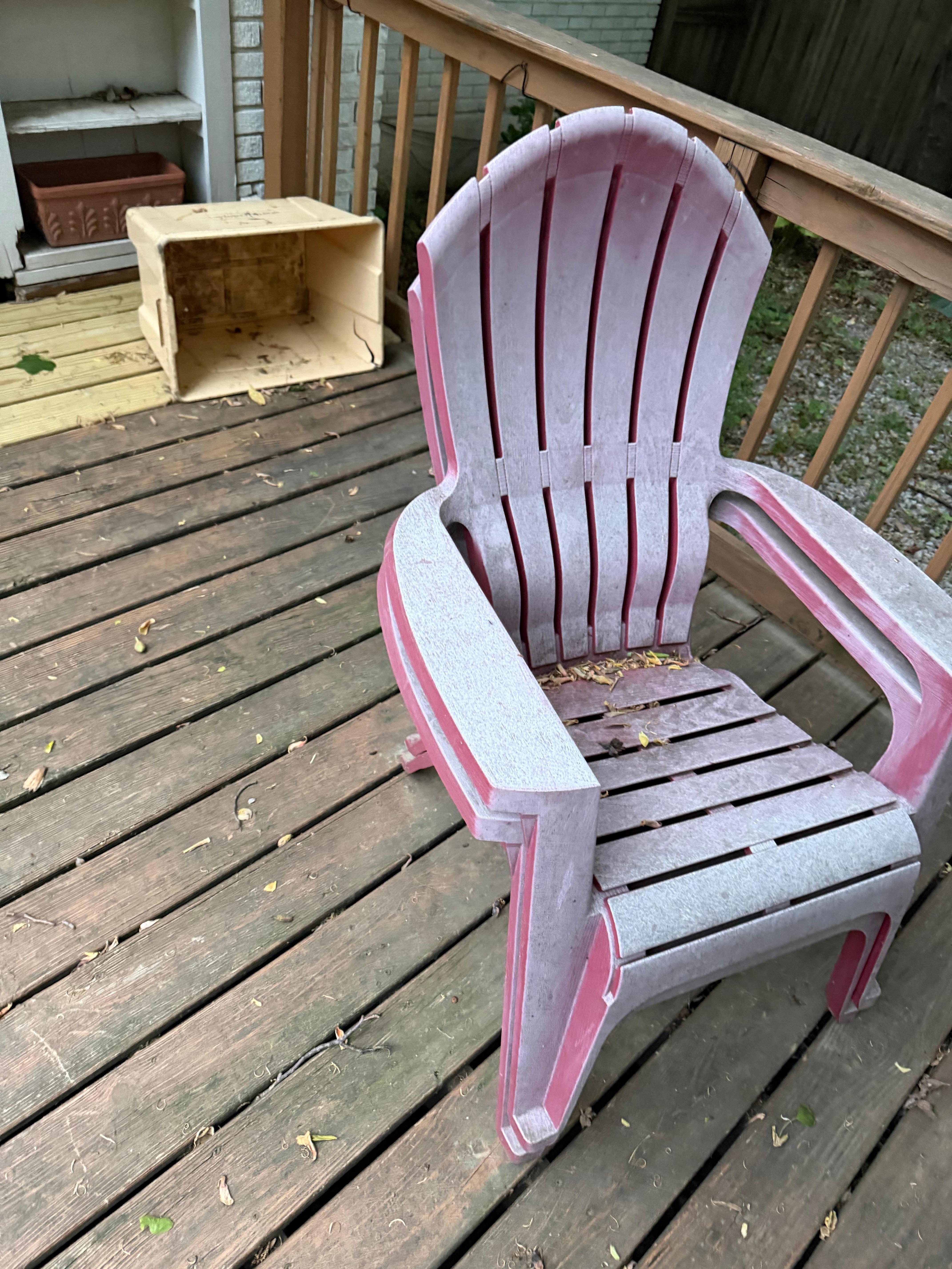 Back yard covered in ants and dust