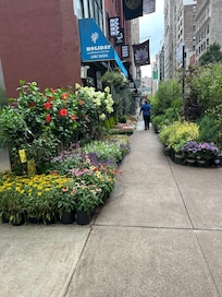 The street outside the hotel