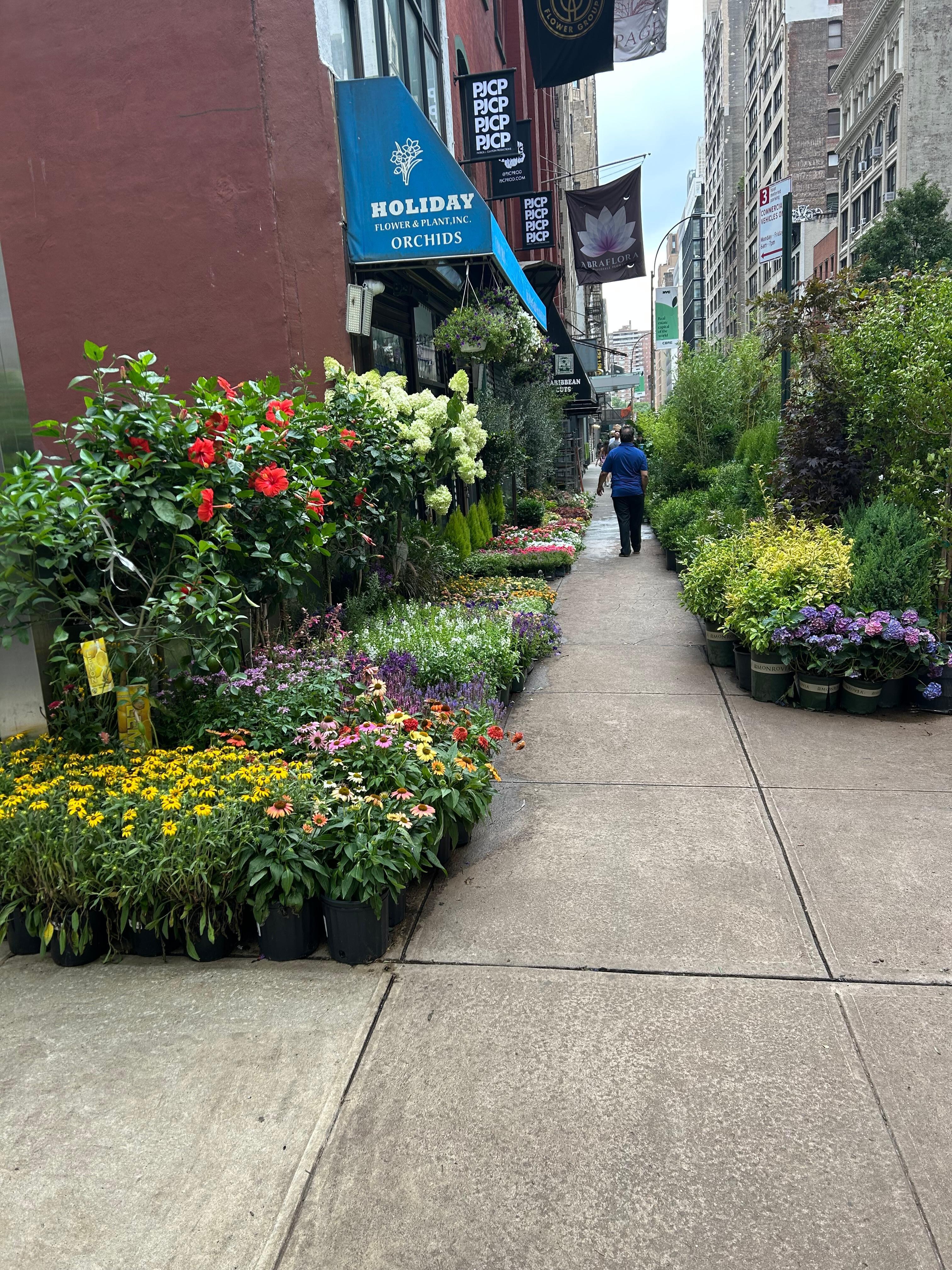 The street outside the hotel 