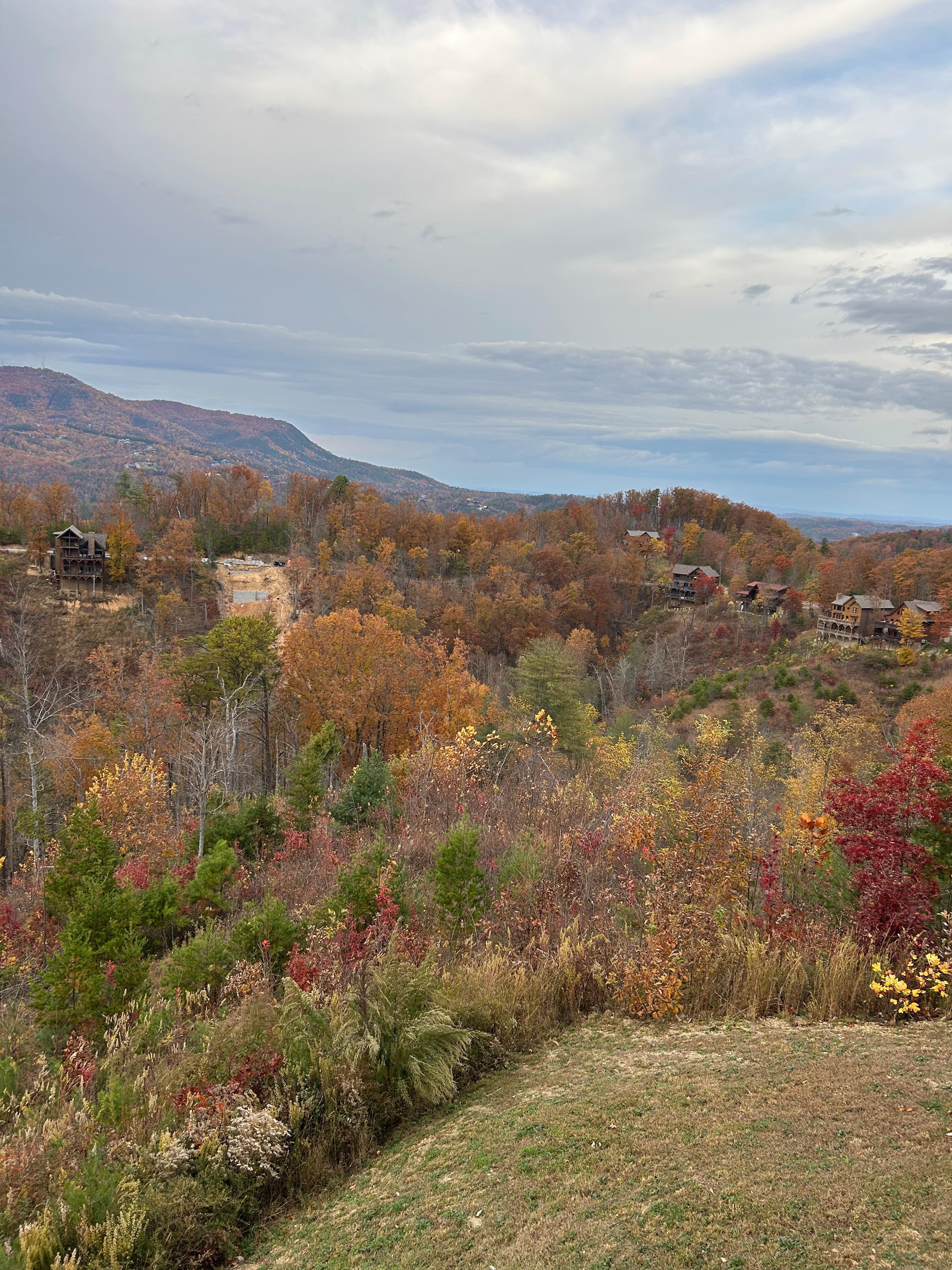 View from the cabin! 