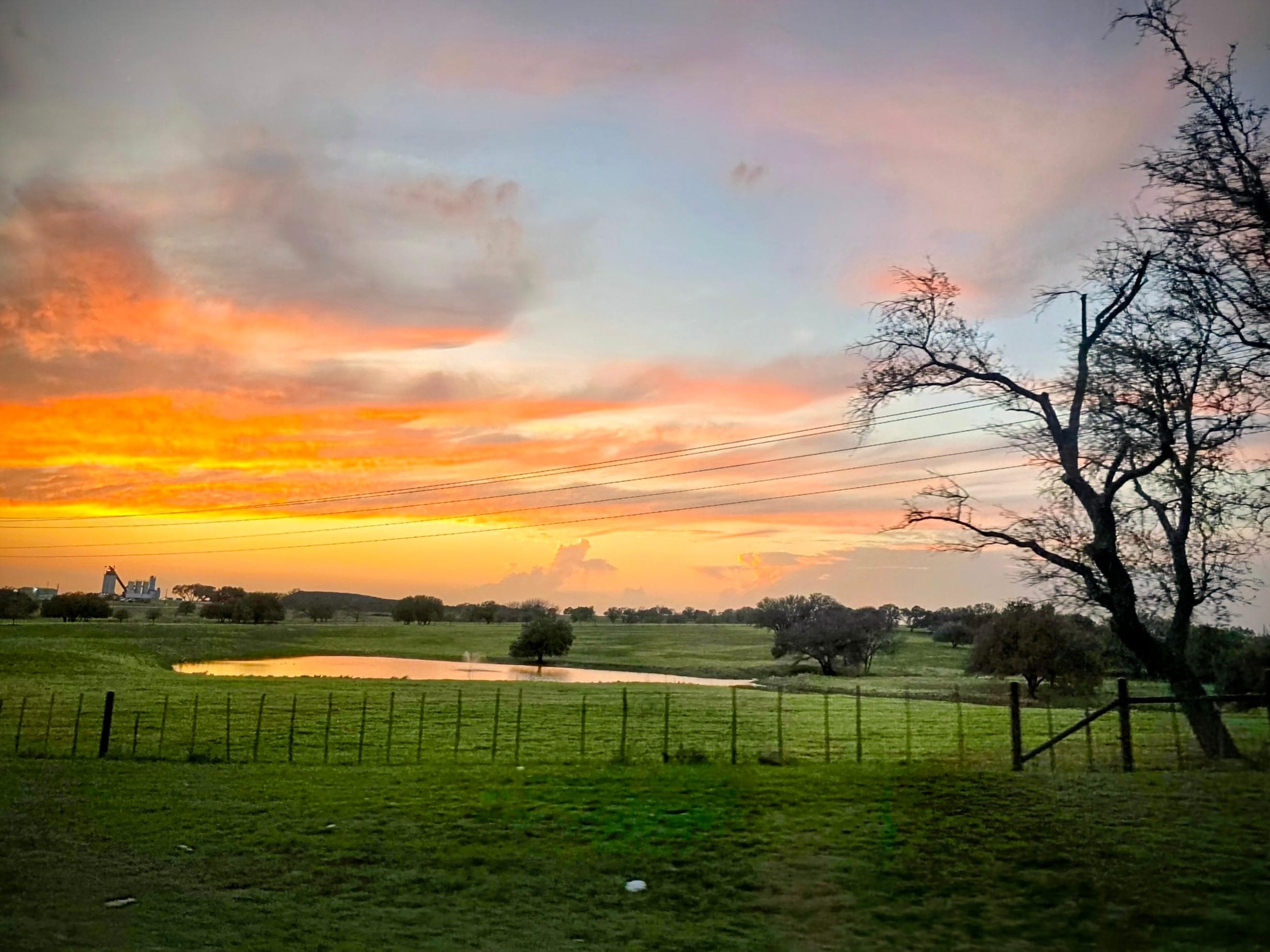 View from the back porch.