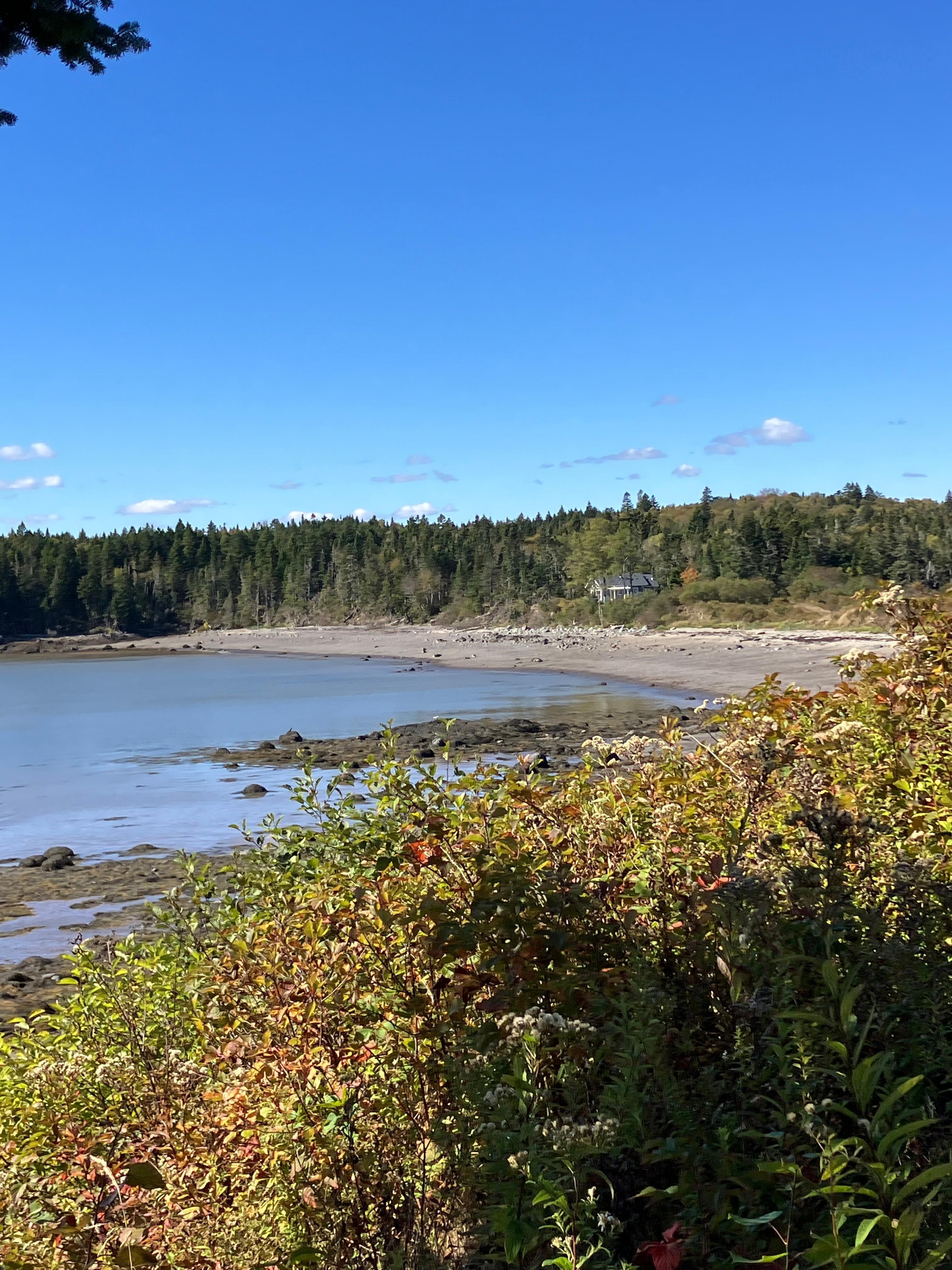View of Little Bay at low tide