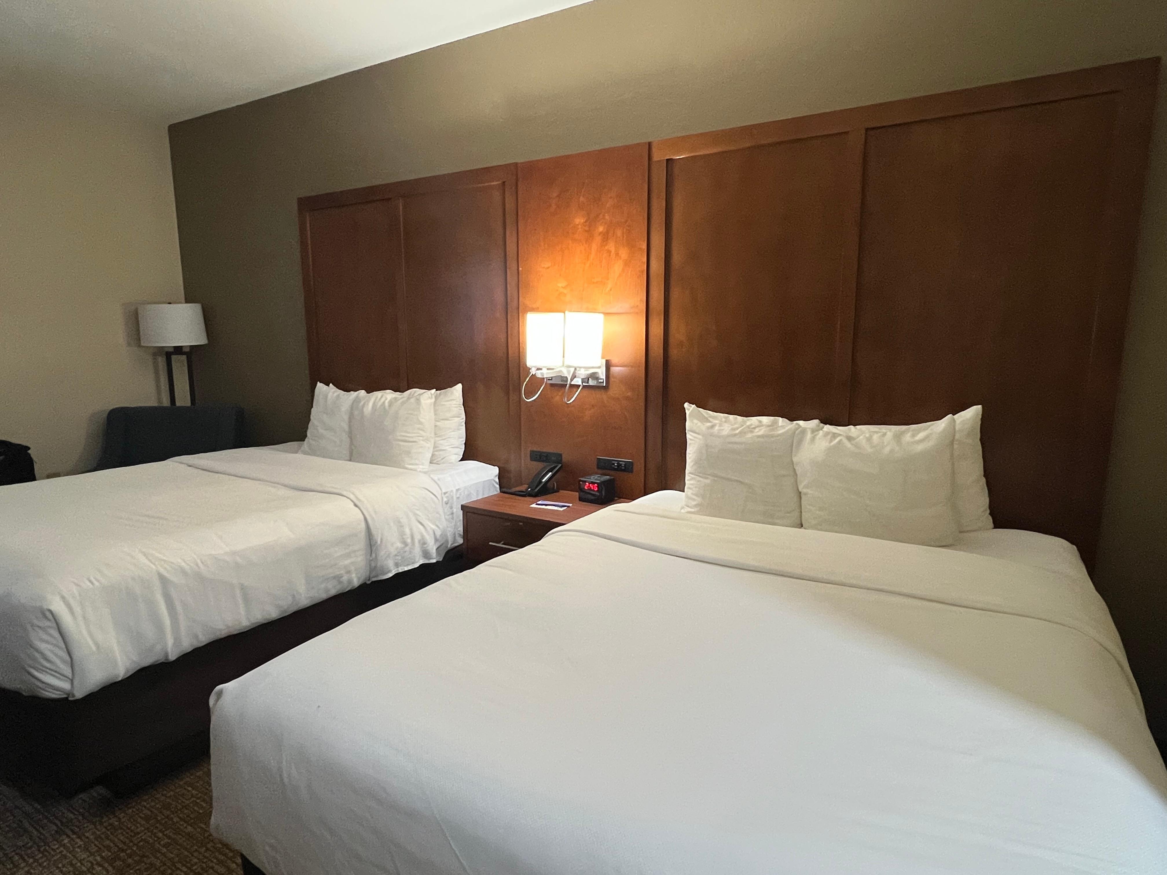 Comfort Inn Hotel Room