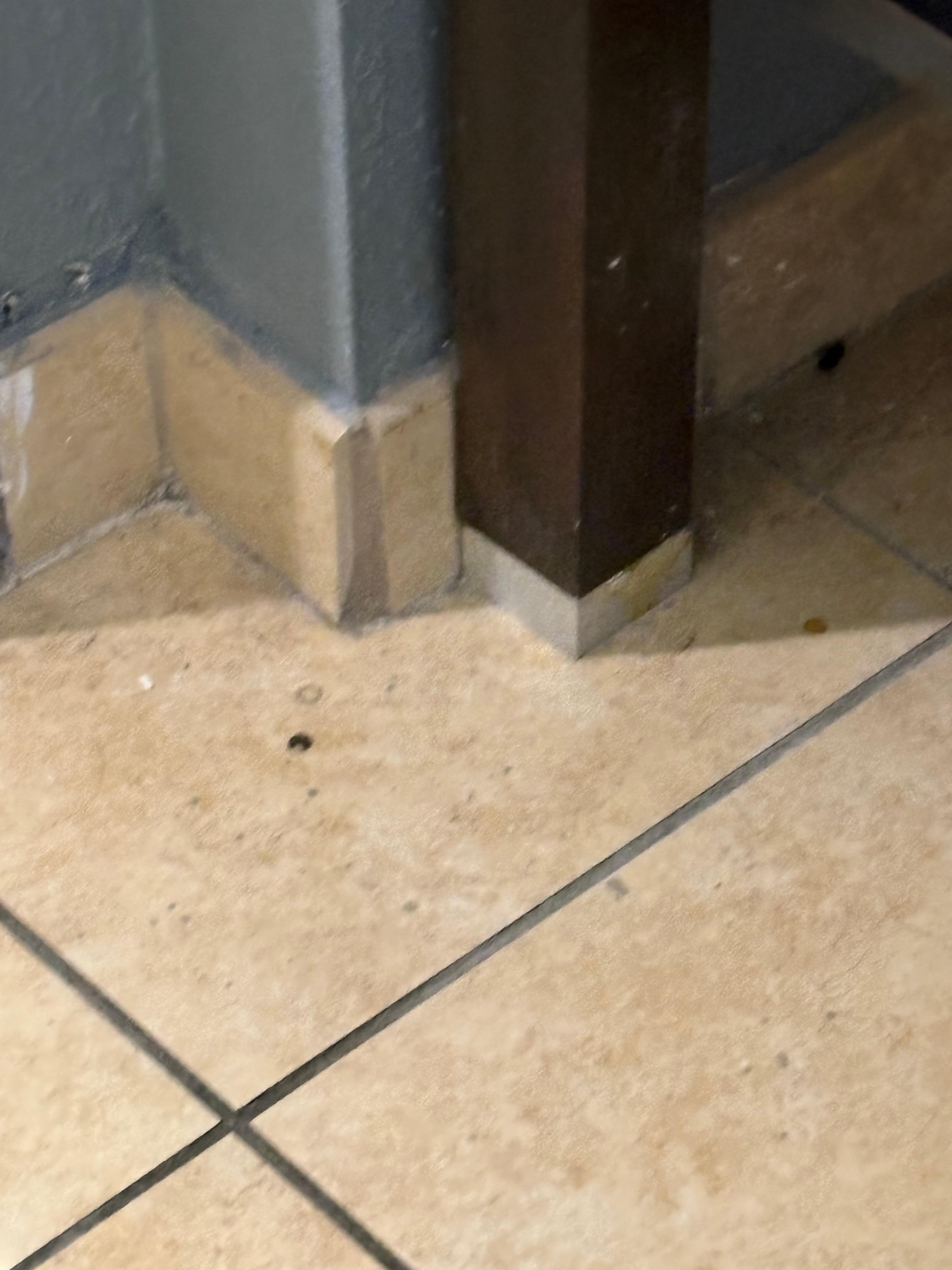 Bathroom floor was filthy 