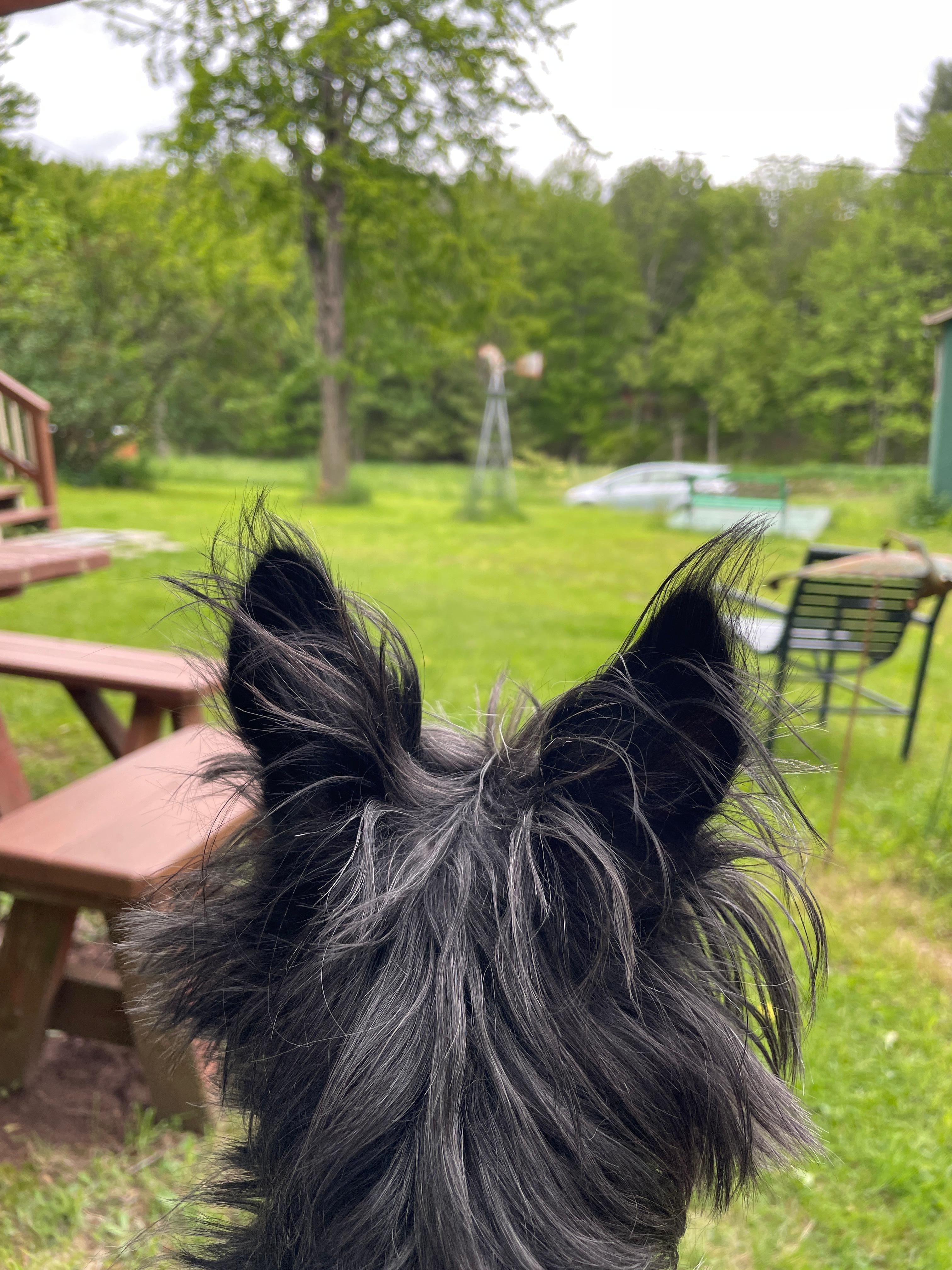 Toto is not in kansas (or nyc) anymore!